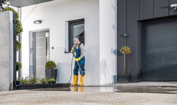 Best Roof Cleaning and Mildew Removal in Long Beach, NY